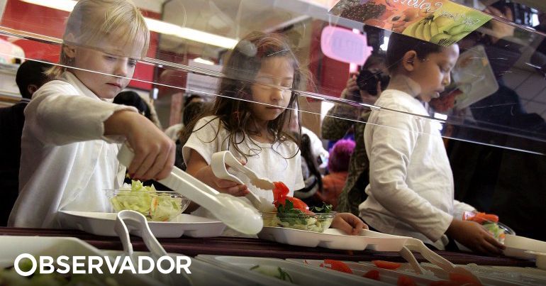 Devemos Obrigar As Crianças A Comer Os Especialistas - 