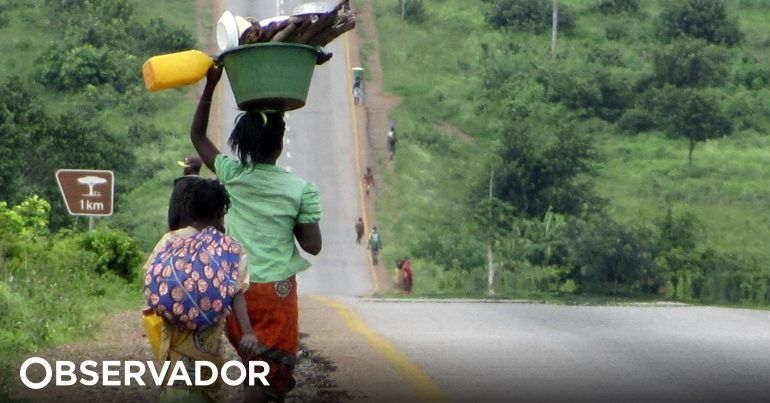 INE revê em alta o crescimento de Moçambique em 2016 para 3,8%