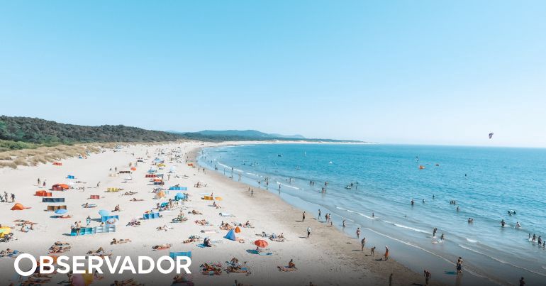 Get Praia ditos parede arte Free