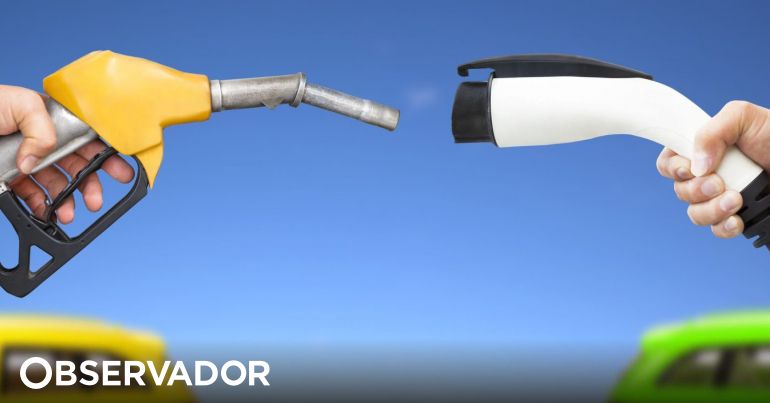 observador.pt