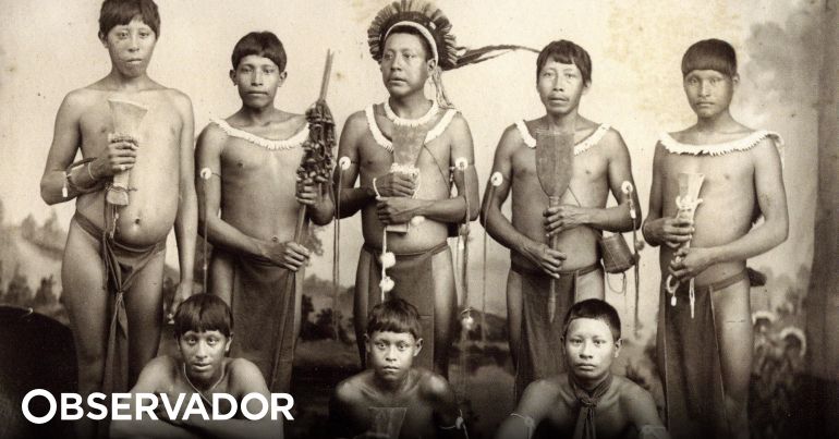 Júlio Siza: a surpresa tropical