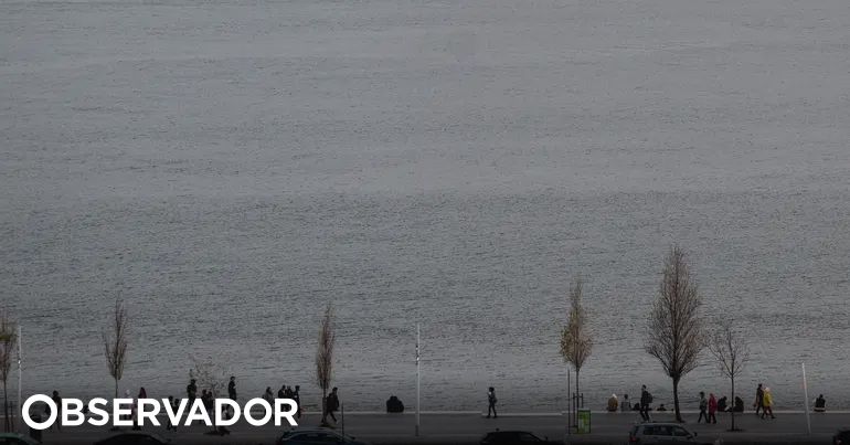 Tragic Discovery: Body of Man Recovered from the Tagus River in Lisbon