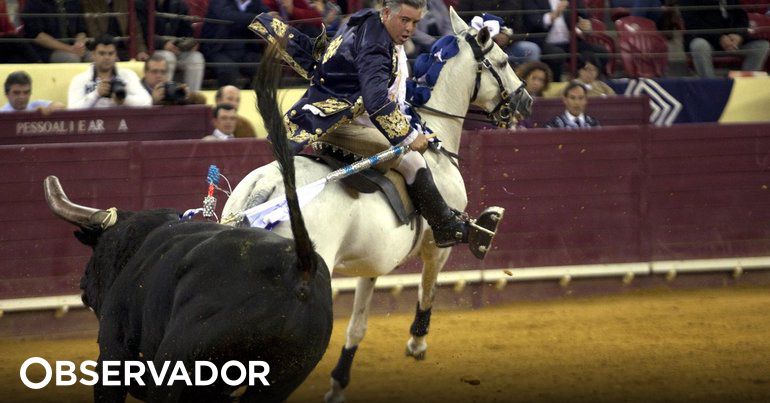 Cavaleiro tauromáquico João Moura julgado em setembro por maus-tratos a animais