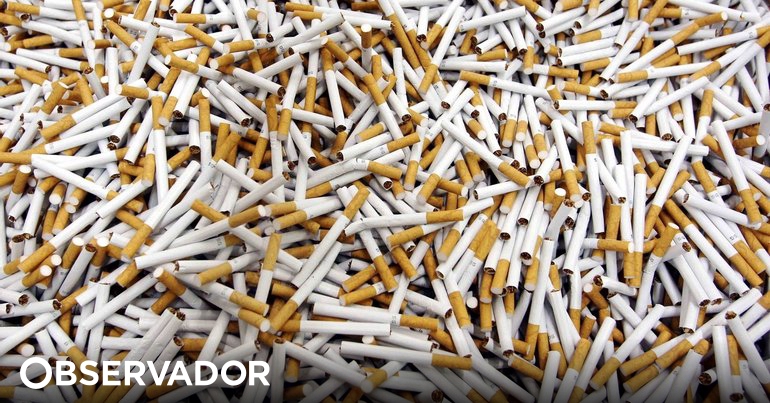 Incautadas en España millones de cigarrillos falsos y 33 toneladas de hojas de tabaco: organismo de control