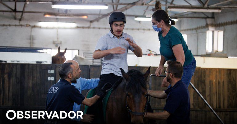 Centro para a Saúde Humana e Animal que Centro de Investigação em Saúde Humana e Animal quer fazer na Maia terá picadeiros