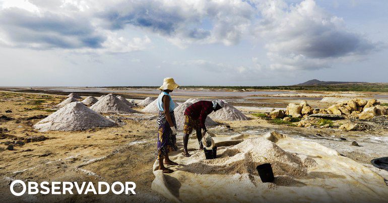 Conselho da UE aprova posição para negociar regras contra produtos feitos em trabalho forçado