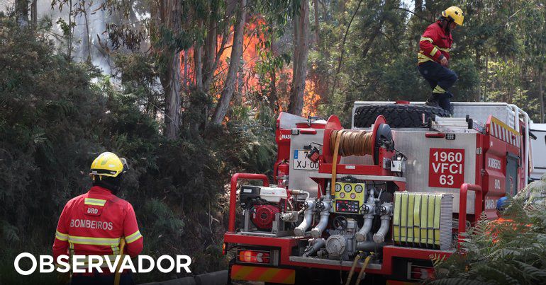 Fuego. El Gobierno niega que España haya enviado dos aviones canadienses a Madeira – Observer