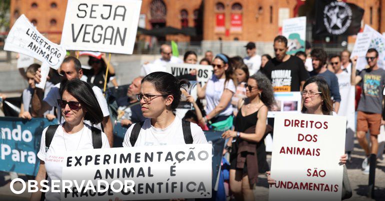 Marcha anual pelos direitos dos animais juntou cerca de 300 pessoas em Lisboa