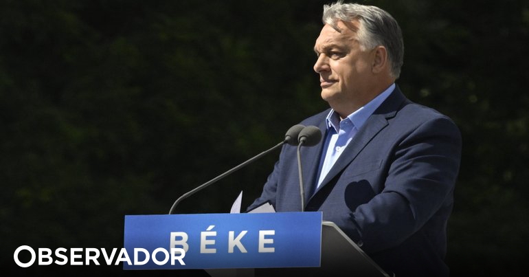 NACIDO.  Orbán condiciona su apoyo a Rutte a la rectificación de los ataques al “honor” húngaro – Observer