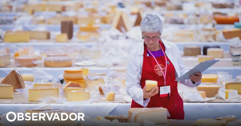 Portugal's Creamy Sheep Cheese Crowned Best in the World at 2024 Cheese Awards!