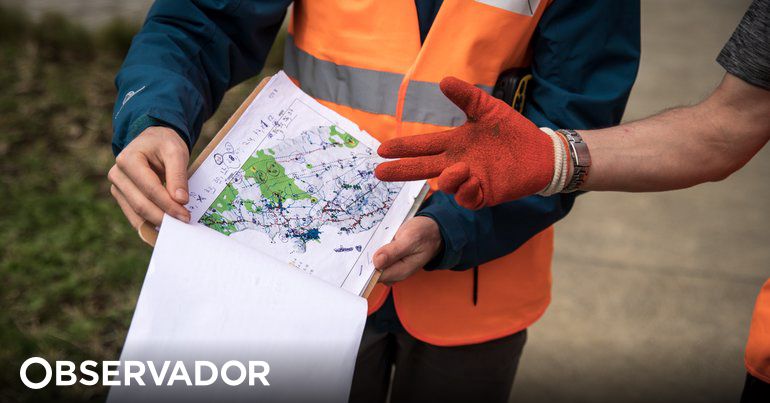 observador.pt