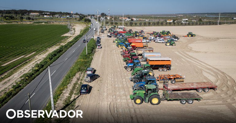 Federação Agrícola dos Açores defende que organizações não podem ser o alvo das manifestações