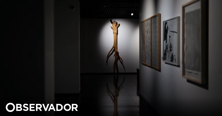 Aprovado decreto que cria programa de apoio à Rede Portuguesa de Arte  Contemporânea – Observador