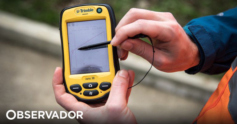 observador.pt
