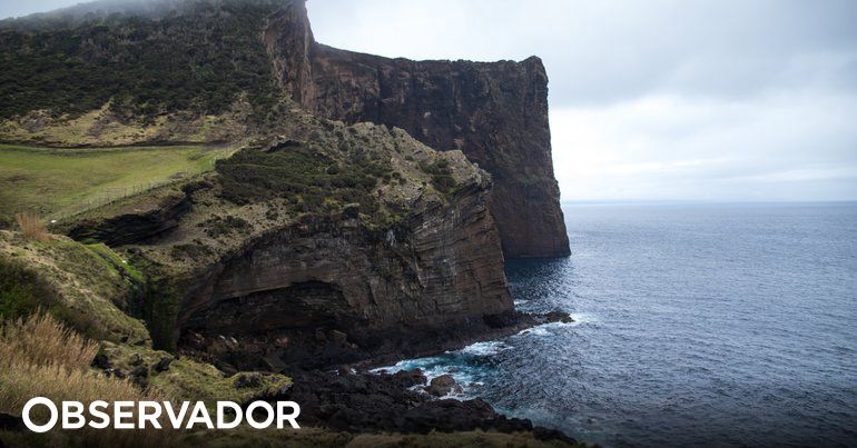 observador.pt