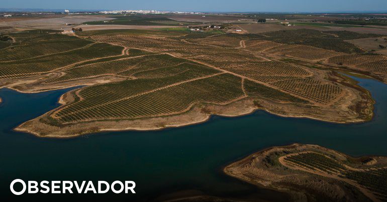 Minitério Público abre inquérito sobre morte de homem no Alqueva após ...