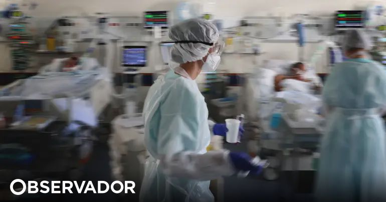 Shocking COVID-19 Death Toll: Lisbon and Tejo Valley Lead in Excess Mortality