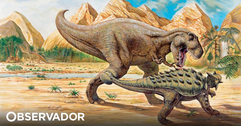 Ideiaria  Kit Escavação Tiranossauro Rex - 4M