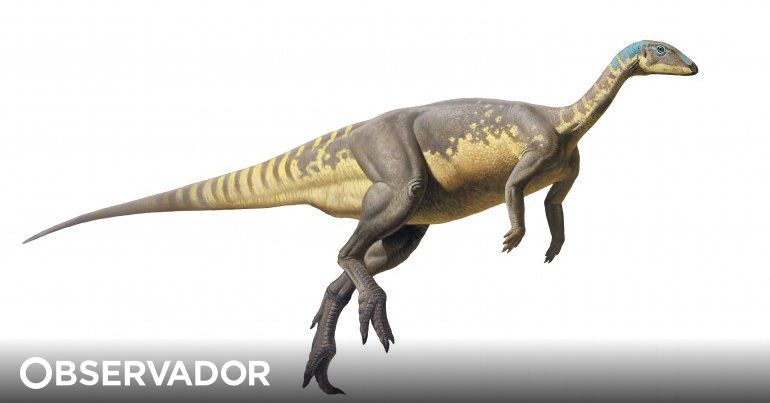 NOVO JOGO DE DINOSSAURO Para ANDROID! Parecido Com The Isle 