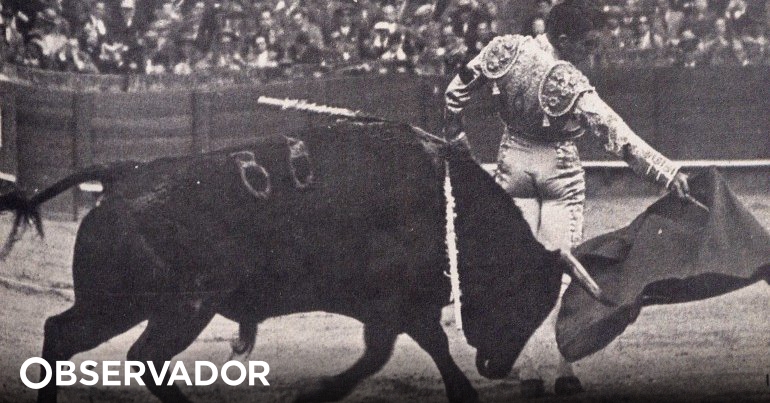 Dos 3.500 euros por touro aos 50 mil euros de cachet para certos toureiros.  Quanto vale a indústria das touradas em Portugal? – Observador