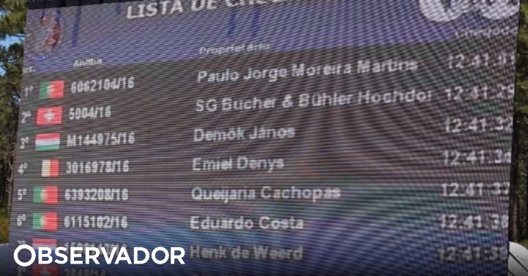 Pombos portugueses sagram-se campeões olímpicos, Columbofilia