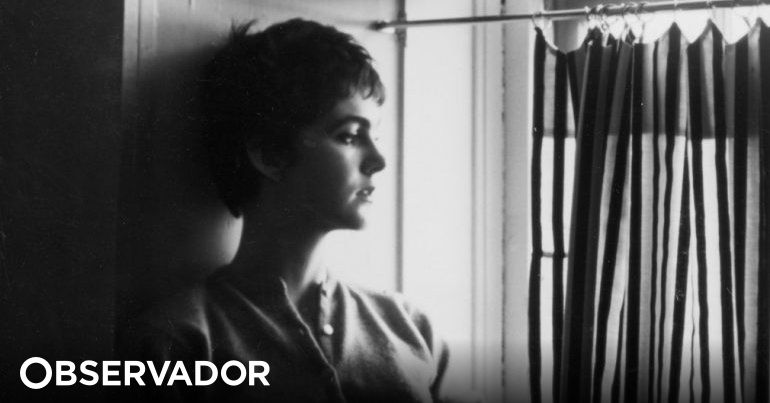 Noite no paraíso - Lucia Berlin - Grupo Companhia das Letras