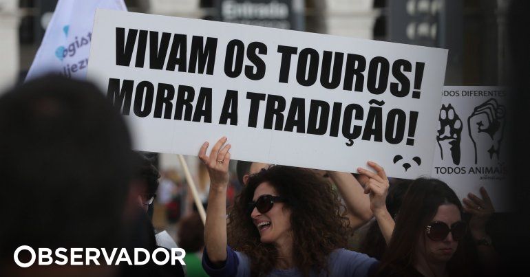 Morte de touro com forcão motiva denúncia da Associação ANIMAL, Touradas