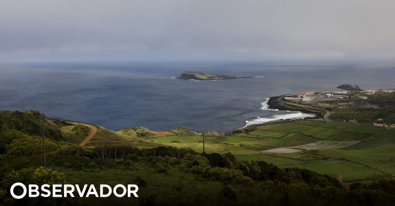 observador.pt