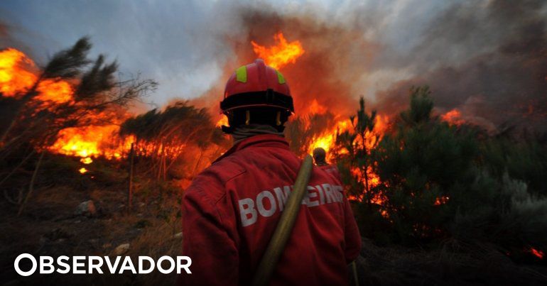 Incêndios: Fogo no Algarve dominado mas dispositivo segue ...