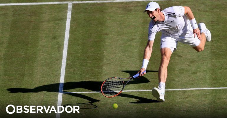Hurkacz Tennis Explorer