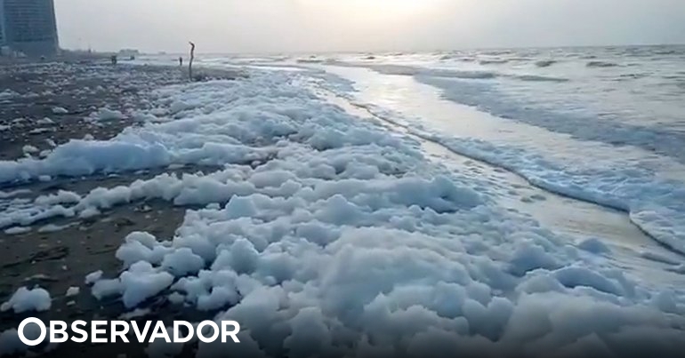 Misteriosa espuma marina obliga a cerrar playas en México – Observer