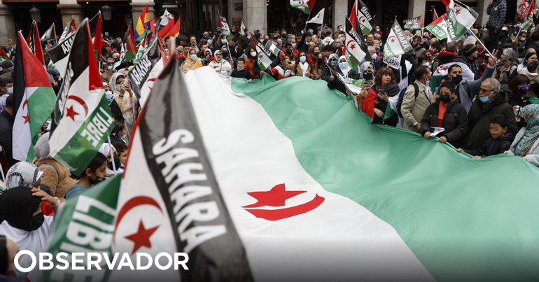 Dos mil personas se manifiestan en Madrid contra la posición española sobre el Sáhara – Observador