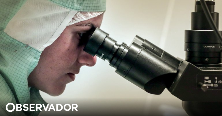 Portugal celebra este jueves el Día Mundial de la Ciencia con programas de apoyo a investigadores – Observer