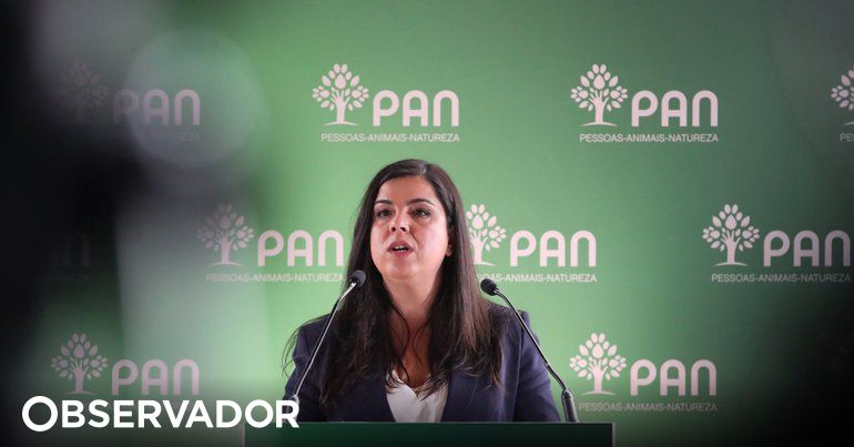 PAN will eine pluralistischere Regierung mit „Umweltparteien“ – The Observer
