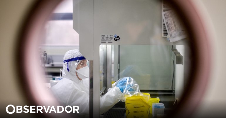 Portugal mit 588 bestätigten Fällen des Affenpockenvirus und ersten geimpften Kontakten – Observer