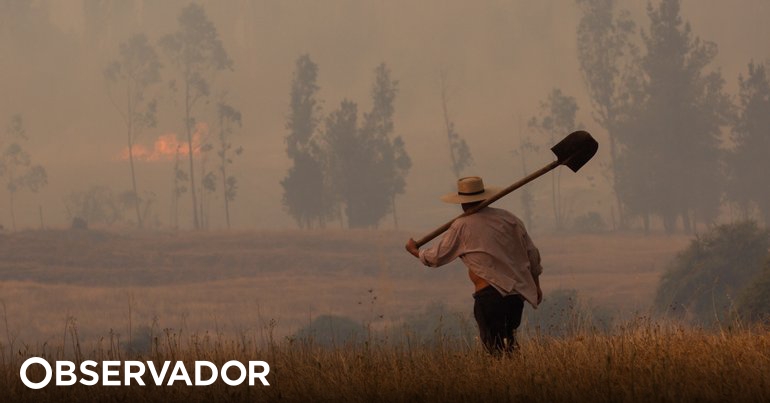 Chile central enfrenta casi 100 incendios forestales incontrolados – Observador