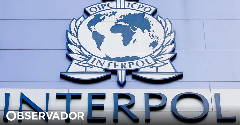 Deutschland warnt, dass neuer Interpol-Präsident die Rechtsstaatlichkeit respektieren muss – Beobachter