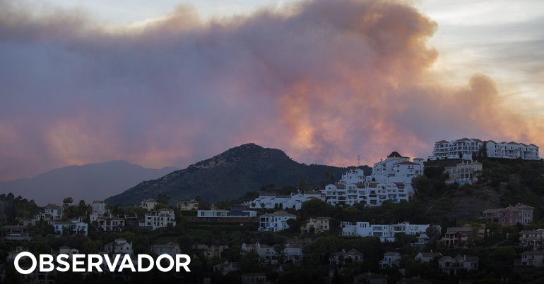España ante la ola de calor y los incendios que ya han quemado más de 13.000 hectáreas – Observer