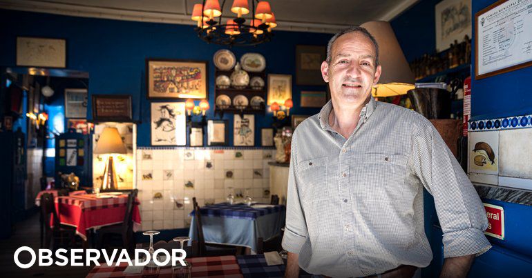 Bota alta bairro alto discount