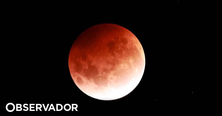 „Blutmond“.  Wie man die totale Mondfinsternis in Portugal Minute für Minute sieht – Observer