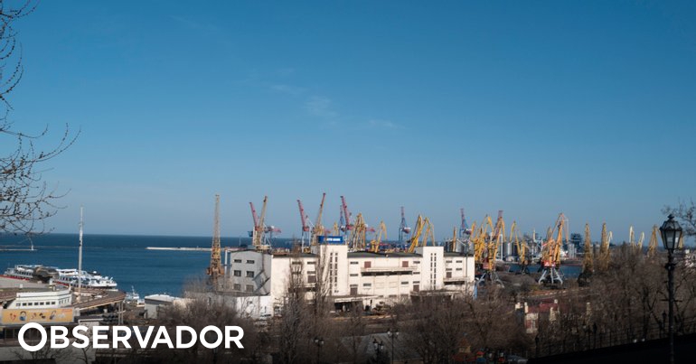 Die russische Marine wird Befehle erteilen, ukrainische Häfen im Schwarzen Meer zu besetzen – Observer