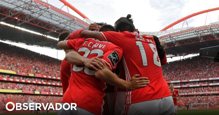 SAD do Benfica teve o maior lucro de sempre: 44,5 milhões – Observador